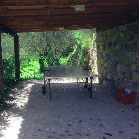Berio Uno - Papa * Villa Viani