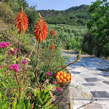 Apartamento Berio Uno - Papa