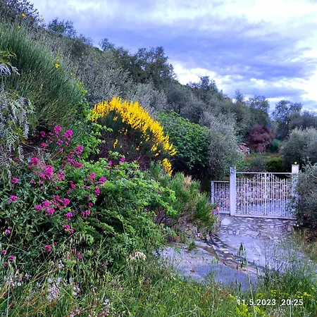 Apartment Berio Uno - Papa Villa Viani