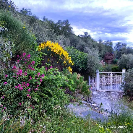 Apartmán Berio Uno - Papa Villa Viani